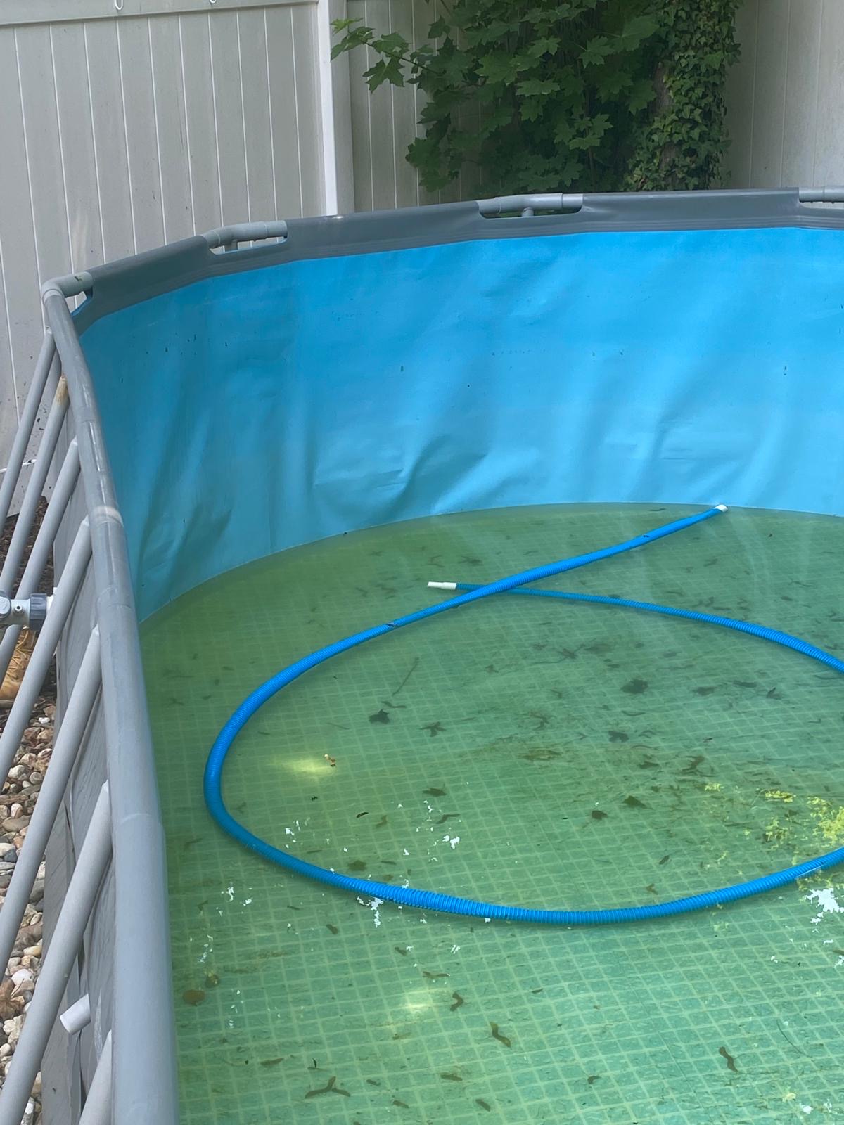 Photo 19 — Before — Pool Liner Before Cleaning