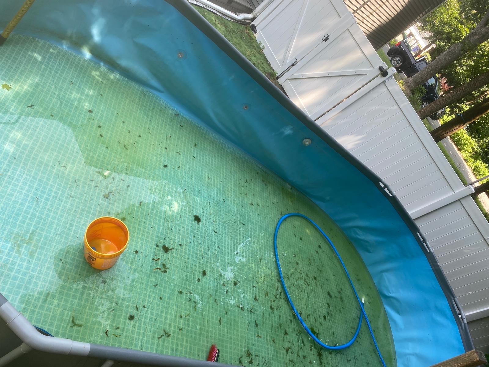 Photo 20 — Process — Pool Cleaning in Progress